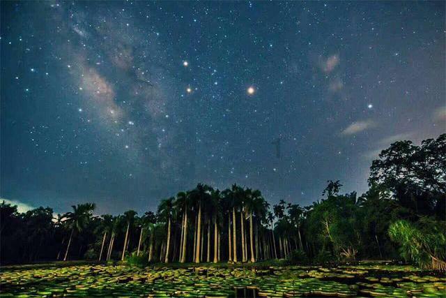 狙杀外星人